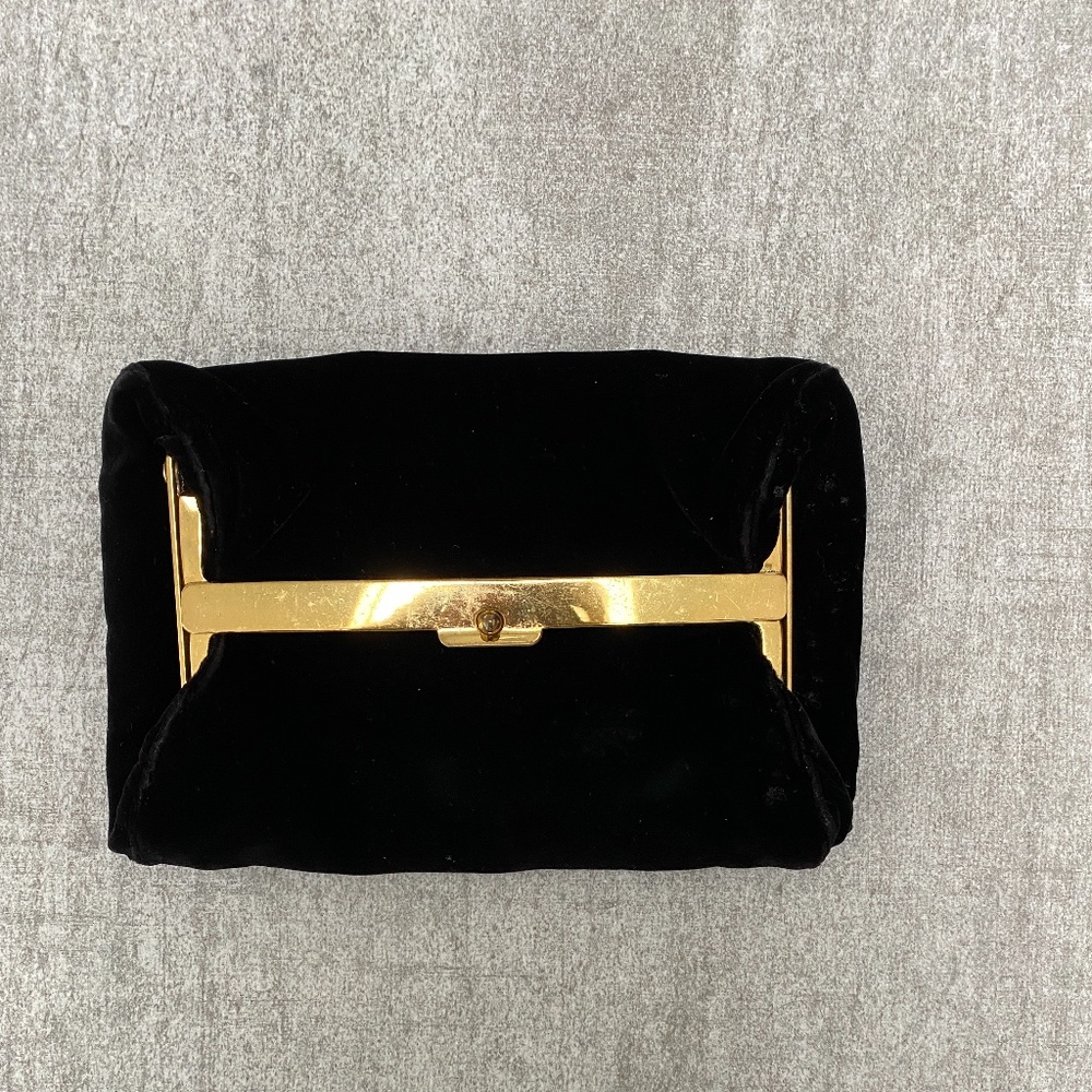 Coblentz velvet clutch
